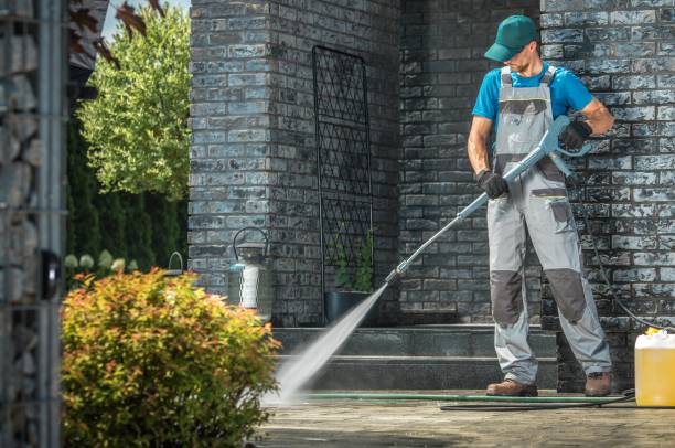 Best Fence Cleaning  in Lmar, DE