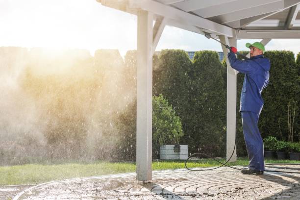 Best Pre-Holiday Cleaning  in Lmar, DE