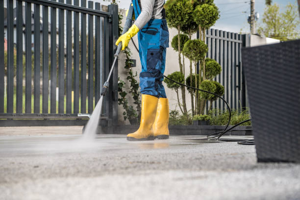 Best Graffiti Removal  in Lmar, DE